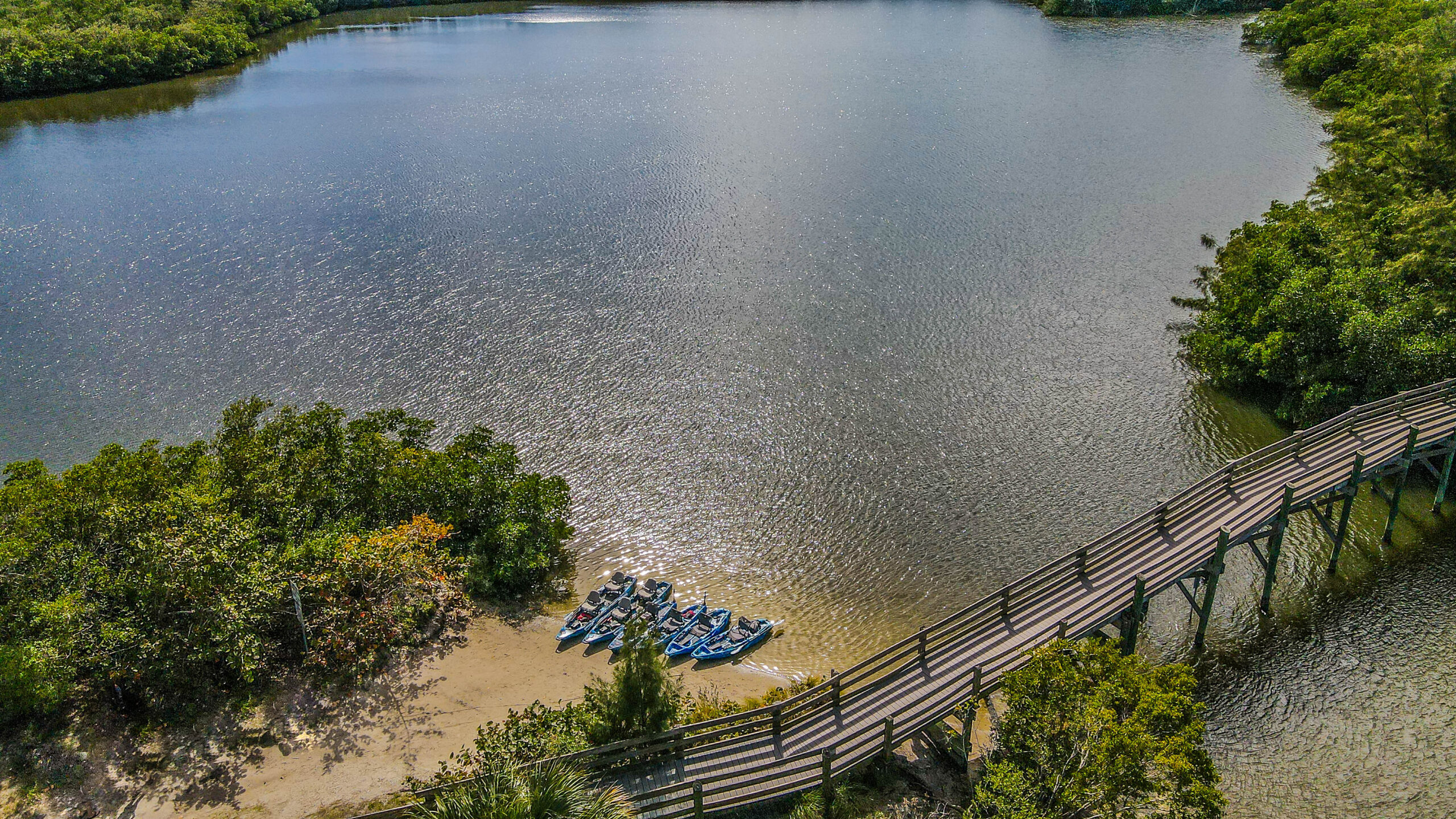 Exploring Round Island River State Park on the Florida Coast.